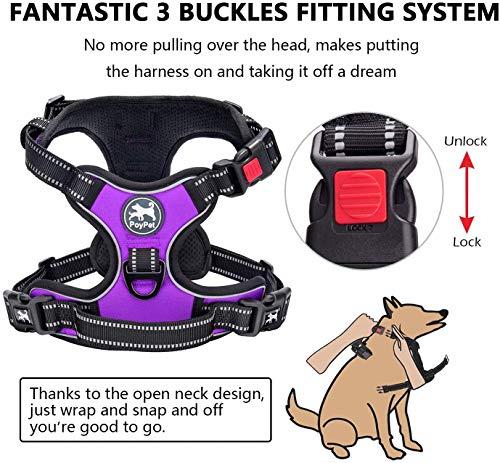 PoyPet Dog Harness and Leash Combo, Escape Proof No Pull Vest Harness, with 5 Feet Leash, Reflective Adjustable Soft Padded Pet Harness with Handle for Small to Large Dogs(Purple,S) - color: Purple, size: S