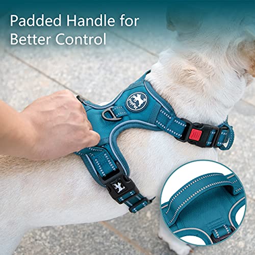 PoyPet No Pull Dog Harness, No Choke Reflective Dog Vest, Adjustable Pet Harnesses with Easy Control Padded Handle for Small Medium Large Dogs(Tumalo Teal,XS) - color: Tumalo Teal, size: XS