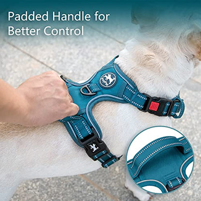 PoyPet No Pull Dog Harness, No Choke Reflective Dog Vest, Adjustable Pet Harnesses with Easy Control Padded Handle for Small Medium Large Dogs(Tumalo Teal,XS) - color: Tumalo Teal, size: XS