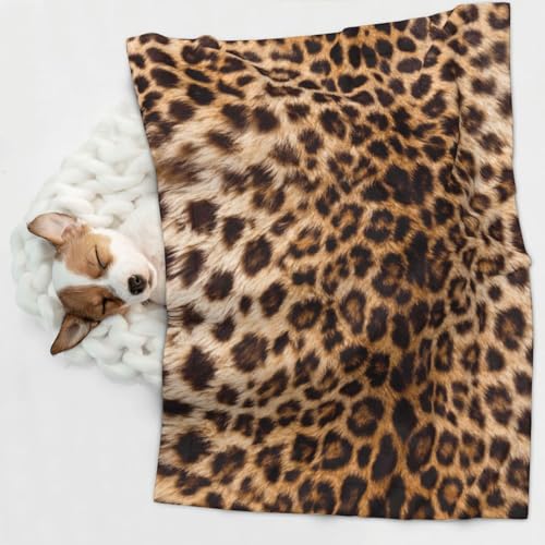 Leopard Print Dog Blankets for Small Dogs, Puppy Blanket Cute Pet Blanket for Dog, Puppy, Cat, Kitten Small - size: Small