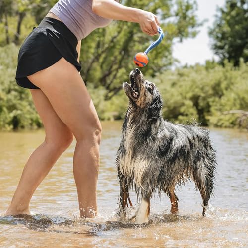 Chuckit! Ultra Duo Tug Dog Toy - Two Ultra Balls on a Durable Nylon Cord Handle - Fetch and Tug-of-War Toy for Dogs - Size Medium - For Breeds 20-60 lbs - 2.5-inch Diameter - Orange and Blue - size: Medium, style: Ultra Duo Tug