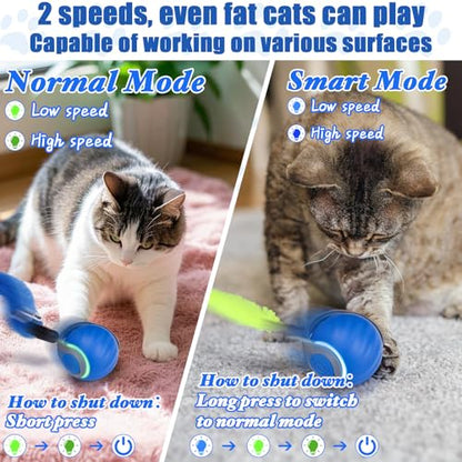 AIERSA Cat Toys for Bored Indoor Adult Cats, Speed Tail Cat Toy, Interactive Smart Cat Toys Balls, Automatic Moving Self Play Cat Toy with 3 Tails and 4 Springs (Blue)