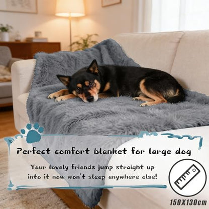 Grey Large Dog Blanket, Super Soft Fluffy Sherpa Fleece Dog Couch Blankets and Throws for Large Medium Small Dogs Puppy Doggy Pet Cats, 50x60 inches - color: Dark Grey