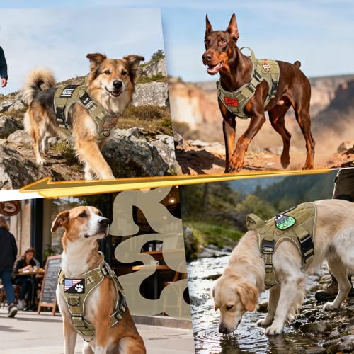 rabbitgoo Tactical Dog Harness Medium Sized, No Pull Upgraded Reflective Heavy Duty Molle Vest with Handle, Adjustable Military Service Dog Vest for Walking Hiking Training, Brown, M - color: Brown Reflective, size: Medium