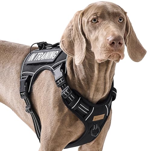 AUNZO Tactical Dog Harness for Large Dogs, for Golden Retriever, Labrador, German Shepherd etc, No Pull Reflective No Choke Adjustable and Padded Pet Vest Harness, Black, L - color: Black, size: Large