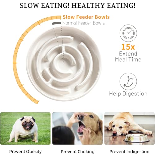 Ceramic Slow Feeder Dog Bowl,1.5 Cups Pet Slow Feeder for Small and Medium Breed,Puzzle Dog Food Dish,Anti-Gulping,Stop Bloat,Preventing Choking(White) - color: White