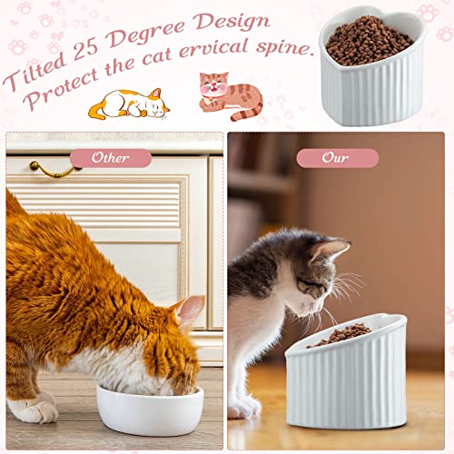 Mumufy 2 Pcs Ceramic Elevated Cat Bowls Tilted Elevated Raised Pet Bowls Anti Vomit Cat Dish for Indoor Stress Free Water Dish Feeder for Puppies, Heart Shaped(Pink, White) - color: Pink, White
