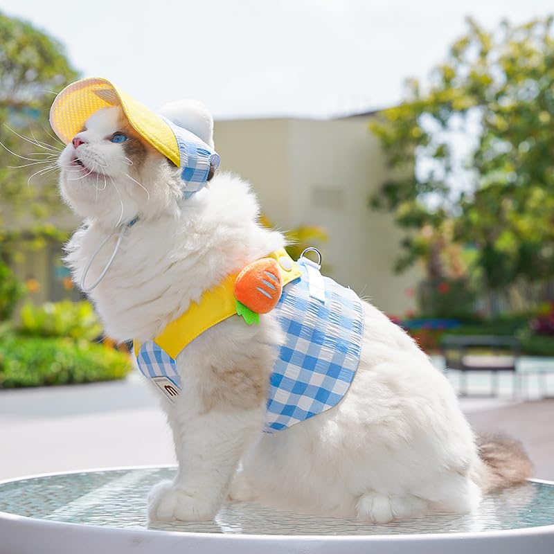 Dog Harness and Leash Set with Hat,No Pull Soft Mesh Pet Harness for Small Dog and Cat,Adjustable Step in Puppy Vest Harness,Cute Pet Clothes,Blue,3 Pcs Set