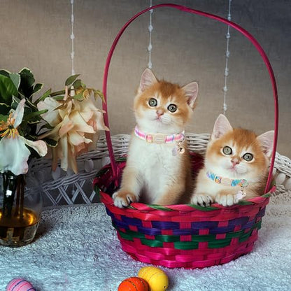Unique style paws 2 Pack Easter Day Kitten Collar Breakaway with Bell&Pendant, Adjustable Safety Blue Pink Colorful Plaid Cat Cotton Collar for Girl Boy Cat and Small Pet - color: blue pink colorful grid
