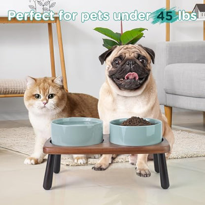 SPUNKYJUNKY Ceramic Elevated Dog Bowls Raised with Acacia Bamboo Wooden Stand, 6.1'' Dog Cat Food Water Bowls Set Non-Slip for Small Medium Sized Breed Microwave Dishwasher Safe - 28.7 OZ,Light Green - color: Light Green, size: 6.1 in - Dual