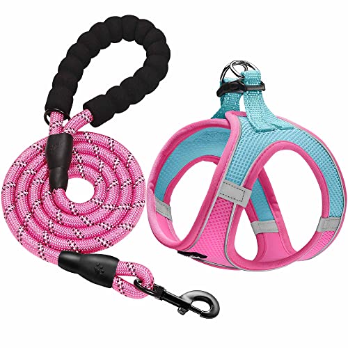 haapaw Dog Harness with Leash Set, No Pull Adjustable Reflective Step-in Puppy Harness with Thickened Padded Vest for Extra-Small/Small Medium Dogs - color: Blue / Pink, size: M