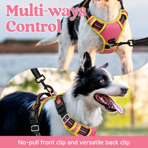 rabbitgoo Dog Harness Small Sized, No Pull Dog Vest with 3 Buckles, Adjustable Soft Padded Pet Harness with Easy Control Handle and Reflective Strips, Pink & Yellow, S - color: Pink & Yellow, size: Small