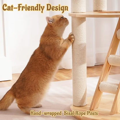 Modern Cat Tree Tower with Scratching Post, 61.5in Tall Cat Tree for Indoor Cats, Multi-Level Solid Wood Cat Furniture with Ladder, Cozy Cat Beds, Cat Condo, Capsule Nest, Dangling Toy, Natural - color: 61.5"Natural