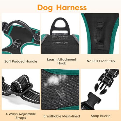 No Pull Dog Harness, No Chock Reflective Adjustable Soft Padded Pet Vest with Easy Control Handle, Easy Wearing with Stylish, Reinforced Knot, 2 Buckles - color: Black/Turquoise, size: X-Small