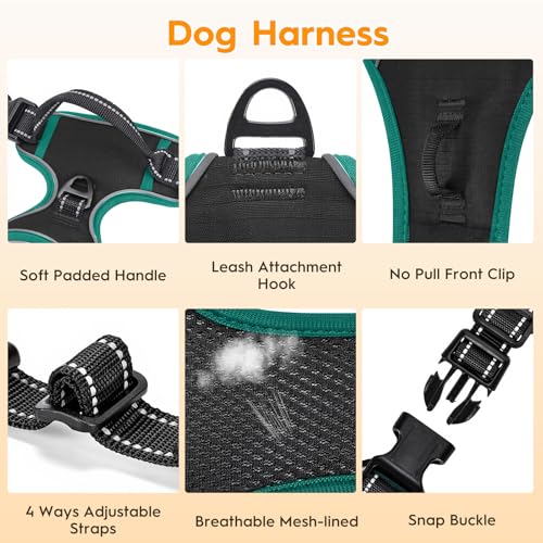 No Pull Dog Harness, No Chock Reflective Adjustable Soft Padded Pet Vest with Easy Control Handle, Easy Wearing with Stylish, Reinforced Knot, 2 Buckles - color: Black/Turquoise, size: Small