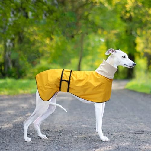 Greyhound Whippet Raincoat Waterproof with Reflective Stripe high Neck fit for Italian Greyhounds Whippets Long Back Breeds - Yellow - M - color: Yellow, size: Medium