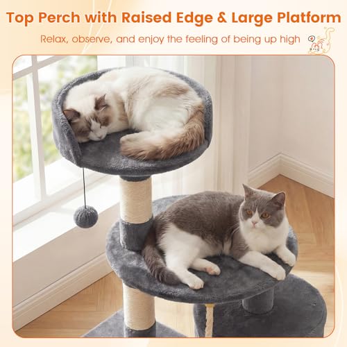 PETSITE 36-inch Multi-Level Cat Tree, with Sisal Scratching Posts, Comfy Top Perch, Cozy Condo, Playful Sisal Rope and Spring Ball, and Dangling Ball, Ideal for Indoor Cats and Kittens (Grey) - color: Grey