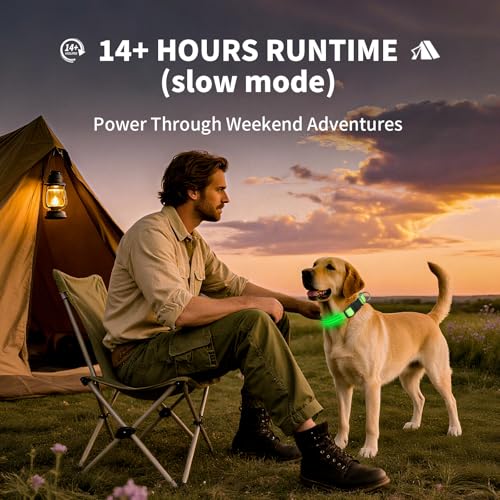 Dog Light up Collar for Night Walking - High Visibility LED Dog Collar - Rechargeable - Waterproof - Reflective - Adjustable Lighted Glow Collars(White,Medium) - color: White, size: Medium (14" - 19" )