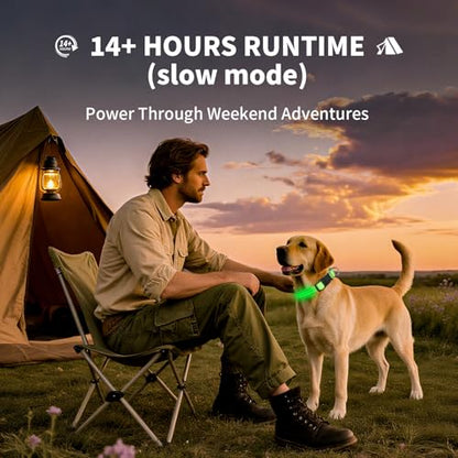 Dog Light up Collar for Night Walking - High Visibility LED Dog Collar - Rechargeable - Waterproof - Reflective - Adjustable Lighted Glow Collars(Pink, Medium) - color: Pink, size: Medium (14" - 19" )