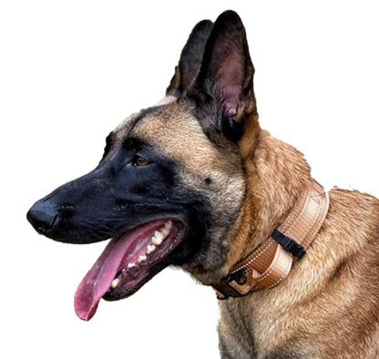 Tactical Dog Collar with Handle, American Flag Patch, 1.5 Inch Wide Thick Heavy Duty Nylon, Quick Release Metal Buckle, Customizable Name Plate, Ideal Dog Collars for Medium to Large Breeds K9 Harness - color: TAN 18-24 inch, size: adjustable 18-24 inches