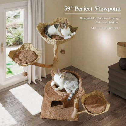 MUTTROS 59" Cat Tree Tower with Real Solid Wood Natural Branch, Modern Cat Tree for Large Cats w/3 Handwoven Wicker Baskets- Luxury Boho Cat Furniture w/Condo & Soft Hammock, Scratching Post, Brown - color: Brown, size: 59" Solid Wood Cat Tree