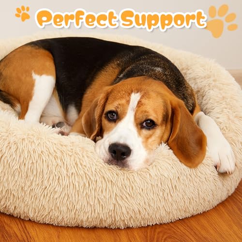2-Pack Small Calming Dog & Cat Bed Anti Anxiety Fluffy Plush Pet Beds with Anti-Slip Bottom Machine Washable Interchangeable Pet Bed for Kittens & Puppies(Cream and Light Gray,21x16.5 Inch) - color: Cream and Light Gray