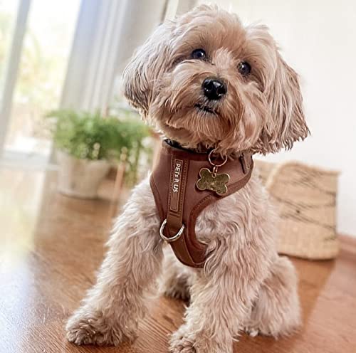 Premium No-Pull Dog Harness Soft Neoprene & Breathable Mesh Vest with Front & Back Clip D-Rings Adjustable Lightweight Walking Harness for Puppies, Small & Medium Dogs (Bronze Brown Gold, L) - color: Bronze Brown Gold, size: L: Neck=16.5-22''/Chest=22.4-3