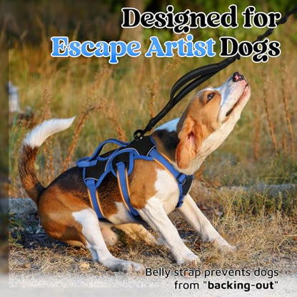 rabbitgoo Escape Proof Dog Harness Large Dogs, Soft Padded Full Body Pet Harness, Reflective Adjustable No Pull Vest with Lift Handle and Leash Clip for Walking Hiking Training, Blue & Black, S - color: Blue & Black, size: Small (Pack of 1)
