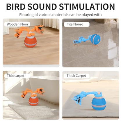 2PCS Interactive Dog Toys Dog Ball,Automatic Rolling and Bouncing Moving Dog Toy,Squeaky Rolling Balls with Flashing Light,USB Rechargeable Chew Toys for Puppy Small Dogs, Pet Ball to Keep Them Busy - color: 1 Orange+1 Blue