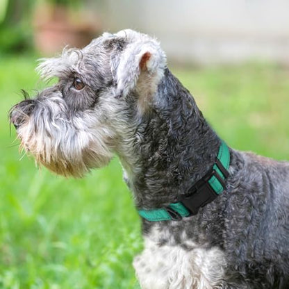 Joytale Reflective Dog Collar, Soft Neoprene Padded, Metal D-Ring, Nylon Pet Collar Adjustable for Small Dogs, Teal, S - color: Teal, size: Small (Pack of 1)