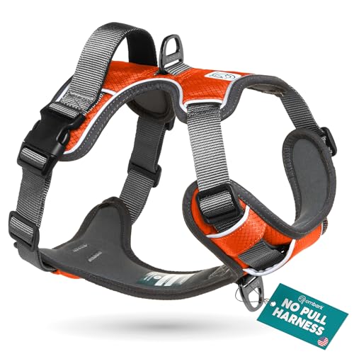 Embark Adventure Small Dog Harness – No-Pull, Reflective Trim, Military-Grade Nylon, Front Clip with Gel-Lined Handle - color: Orange, size: S
