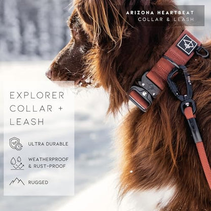 Made to ROAM Premium Dog Collar - Adjustable Heavy Duty Nylon Collar with Quick-Release Metal Buckle (Alaska Daybreak, Classic Size 2.5) - color: Alaska Daybreak, size: Classic 2.5