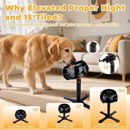Elevated Slow Feeder Dog Bowl Adjustable Stand,Tilted ABS Base,Fits 5.5-9.5" Bowls, Anti-Spill & Non-Slip, Heavy Duty for Med/Large Dogs(with Round Bowls) - size: C -Slow Feeder Dog Bowls