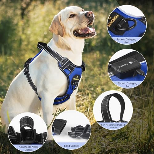 LED Dog Harness - No Pull Light Up Rechargeable Reflective Glow Vest for Sizes Small to Large - color: Blue, size: L
