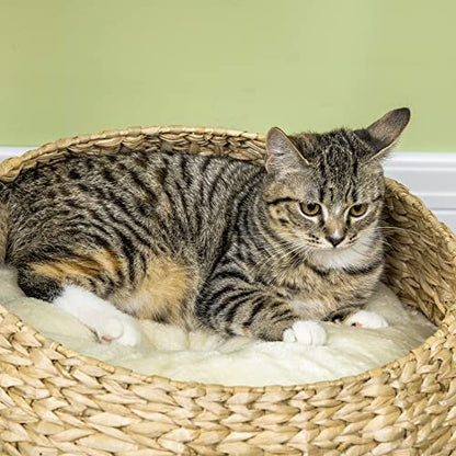PawHut 28" Elevated Cat Bed with Sisal Scratching Post for Indoor Kitties, Modern Cat Tree with Cute Basket Design, Small Cat Tree with Fun Ball Toy