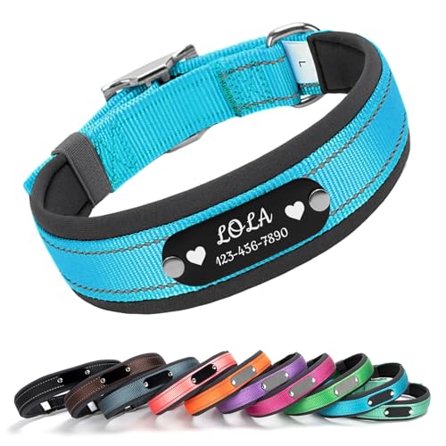 Cusotm Dog Collar with Laser Engraved Name and Phone on Black Metal Tag - Nylon Collar with Reflective Stripe, Neoprene Lining, Metal Buckle D-Ring (Blue, S (11-15 Inches)) - color: Blue, size: S (11-15 Inches)