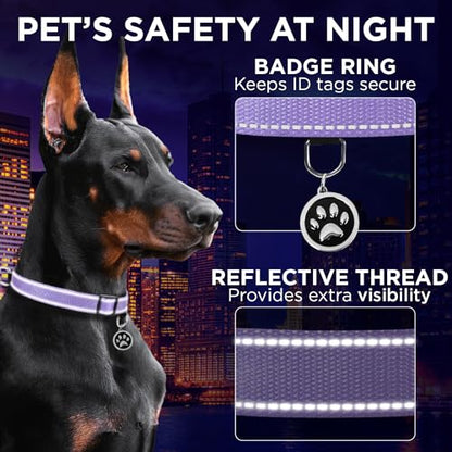 TECEUM Reflective Dog Collar – Lavender – XXS – Extra Soft Padding – Basic Nylon Pet Collar – Quick Release Buckle – Fits Small, Medium and Large Dogs, Puppies, Cats – ESA & Service Dog Options - color: Lavender, size: XX-Small