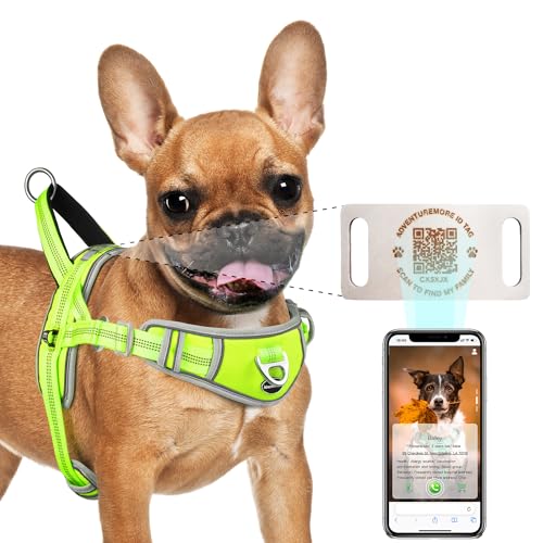 Dog Harness Small Dog No Pull with QR Code Dog Tag, Adjustable Reflective Dog Vest Escape Proof Dog Harness Smart ID Tag with Easy Control Front Clip Handle for Walking S Green - color: Green - QR Code, size: S