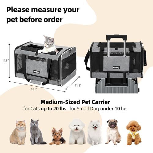 Cat Carrier Soft-Sided Travel Bag for Medium to Large Cats Over 15lbs, Small Dog Carrier Crate Top Entry Breathable Mesh Puppy 12 Pounds, Pet Rabbit Carrying Cage Kennel Collapsible Grey - color: Grey