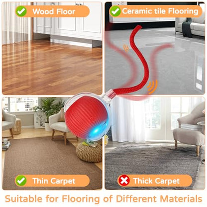 Goosheep 2025 New 3Pack Cat Ball Kitten Toys for Indoor Interactive Kitty Ball Toy Speedy Tail 360° Automatic Rolling(Red Grey Green) - size: 3 Pack
