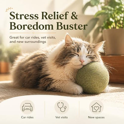 3.94 Inches Huge Catnip Ball for Cats -Big Cat Toys for Indoor Cats -Giant Cat Nip Balls Large- Large Lick Safe Healthy Kitten Chew Toys - Jumbo Kitty Teeth Cleaning Dental Toys