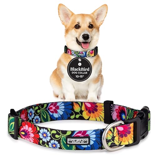 Lucky Love Dog - Adjustable Dog Collar with Easy Click Buckle for Small Dogs, Durable, & Comfortable for Male & Female Dogs, Pet Collar for Puppies & Adult Dogs - Blackbird, Small - color: Blackbird Collar Only, size: Small | 10-15"