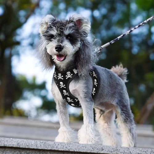 Reflective Dog Harness with Dual Clips, Skull and Crossbones, No Pull Breathable Mesh Vest, Multi Functional Gear for Running Hiking - color: Design (598), size: Small