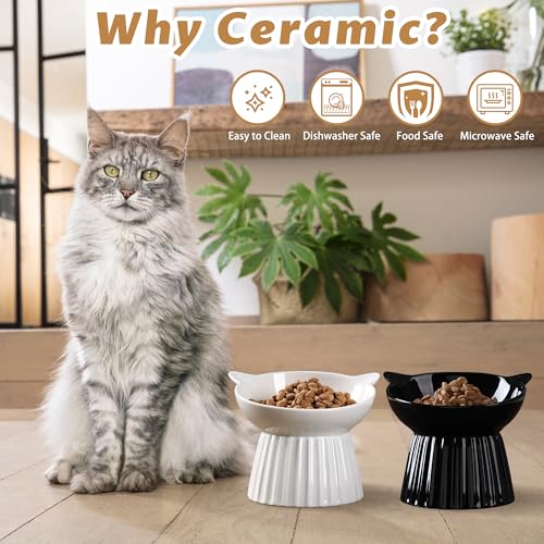 Ceramic Raised Cat Bowl，Tilted Raised Bowl Anti Vomit Bowls for Indoor Cats Whisker Friendly Pet Feeder for Cats Puppies, Microwave and Dishwasher Safe - color: White+Black
