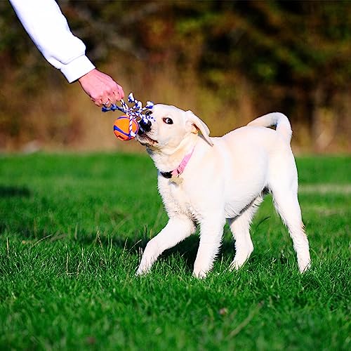 Chuckit! Ultra Toss Dog Toy, Medium Indoor and Outdoor Dog Toy for Dogs 20-60 Pounds - size: Medium, style: Ultra Toss