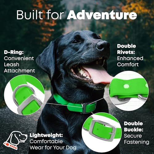 Regal Dog Products Small Light Green Waterproof Dog Collars with Custom Engraved Name Plate | Vinyl Coated, Easy to Clean Personalized Biothane Dog Collar - Other Sizes for Medium & Large Dogs - color: Light Green, size: Small Collar