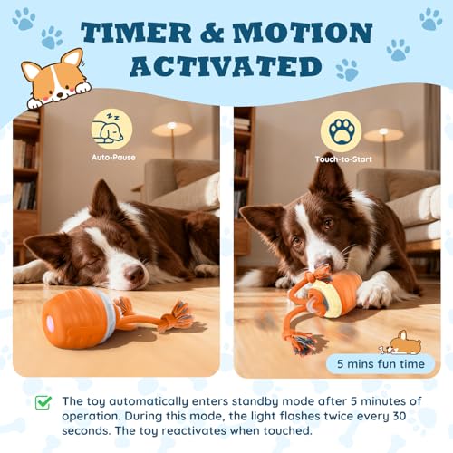 Interactive Dog Toys Ball - New Upgraded Chase Buddy Dog Toy for Small Dogs, Automatic Moving and Rolling Dogs Ball for Boredom, USB Rechargeable(Light Orange)