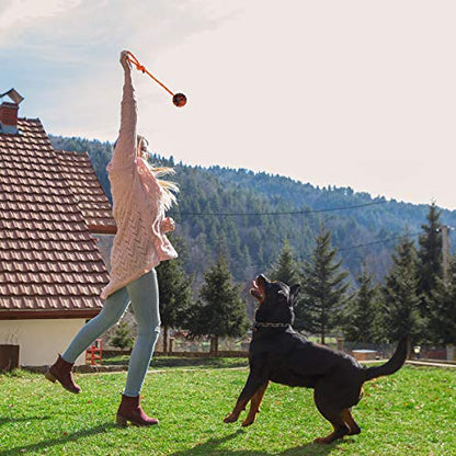 K9 Training Ball with Rope, Exercise and Reward Toy for Dogs - Indestructible Dog Toy Ball with Handle for Training Pull, Throw, Tug - Belgian Malinois Gifts - color: Orange and Yellow