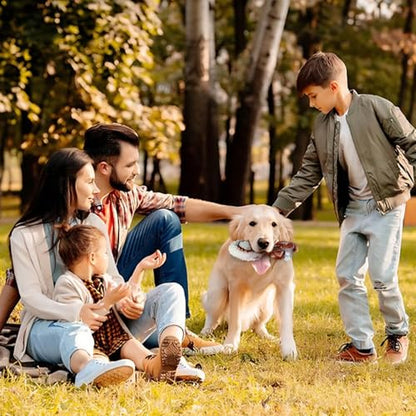 Indestructible Dog Toys for Aggressive Chewers, Tough and Durable Chew Toys for Large Medium Dogs, Interactive Dog Chew Toys to Keep Them Busy (F Squirrel+Crab) - color: F Squirrel+Crab