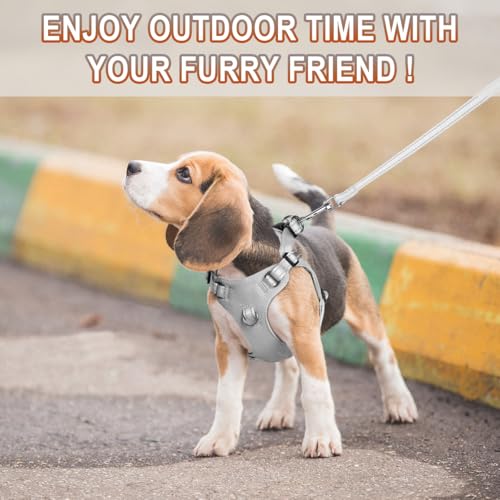 Dog Harness Step in Dog Vest Harness, Reflective Adjustable Puppy No Pull Harness Breathable Soft for Small and Medium Dogs Cats, Grey, XS - color: Grey, size: X-Small